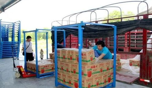 永州嘉信冷鏈倉儲物流中心正式開業(yè)，助推區(qū)域物流體系升級