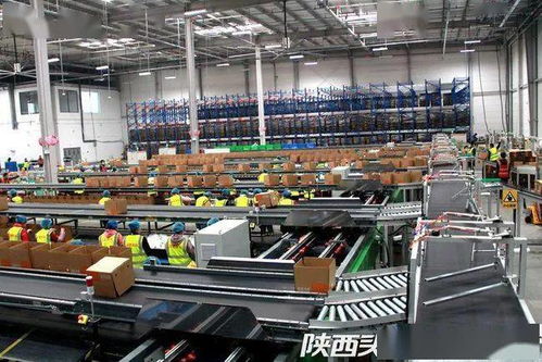 西安聯手阿里破解農產品倉儲物流難題，西北最大數字農業倉配體系正式啟用